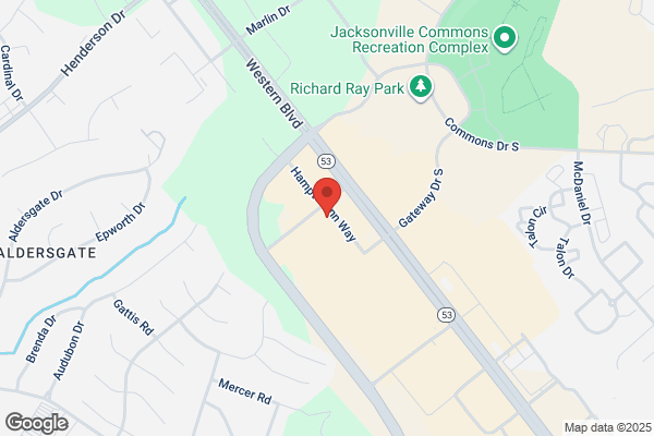 The Little Gym of Jacksonville