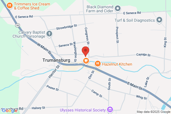 Trumansburg Conservatory of Fine Arts Inc
