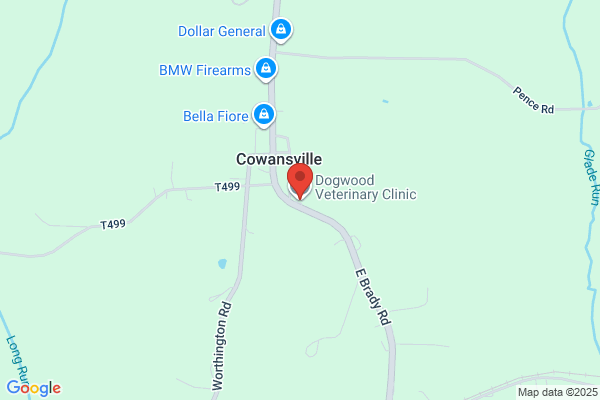 Dogwood Orthopaedic Clinic PA
