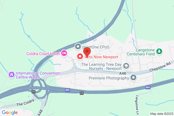Newport Roofing