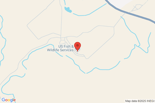 United States Government, Fish & Wildlife Service