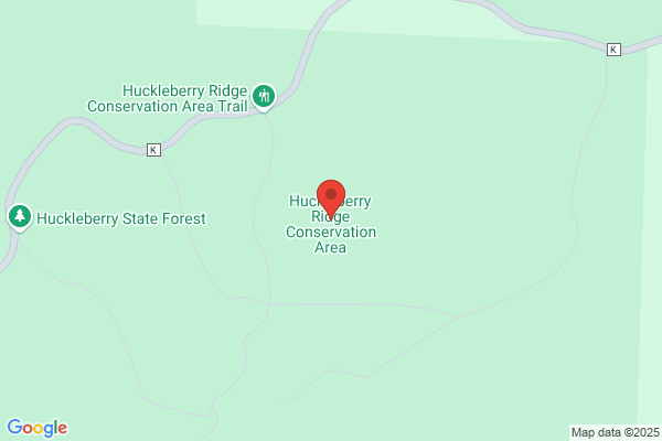 Huckleberry Junction