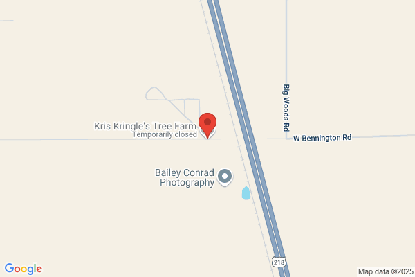 Kris Kringles Trees Llc