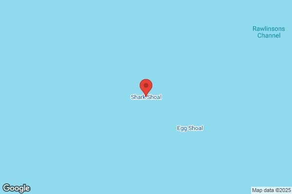 Shark Shoal Shanty