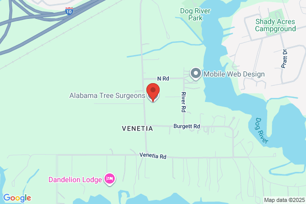 Alabama Tree Surgery