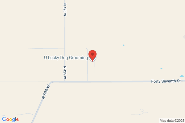 Soggy Doggy Dog Grooming