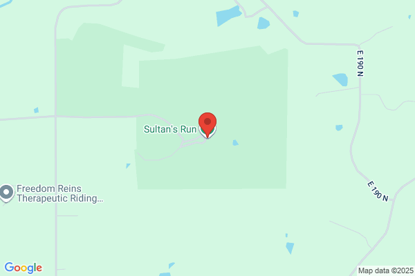 Sultan's Run