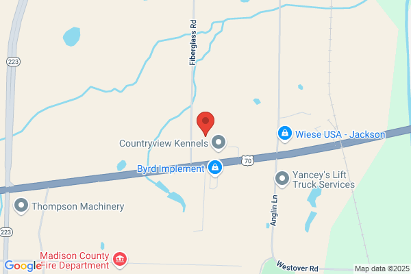 South Tennessee Auto Auction