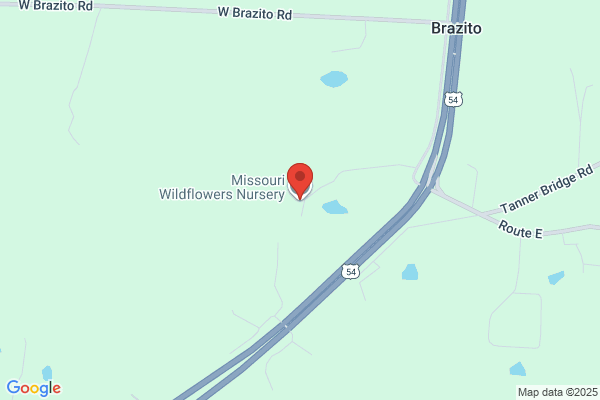 Missouri Wildflowers Nursery