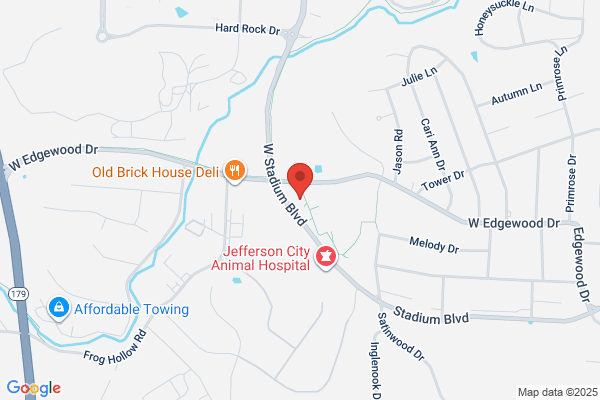 Craighead Jonathan MD