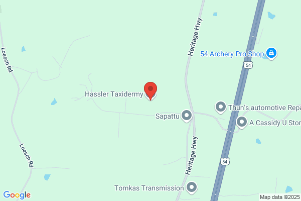 Hassler Taxidermy