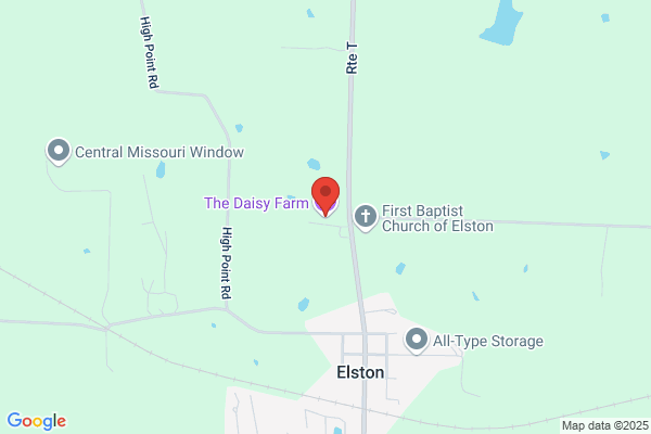 The Daisy Farm