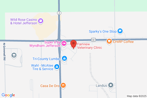 Fairview Veterinary Clinic LLC