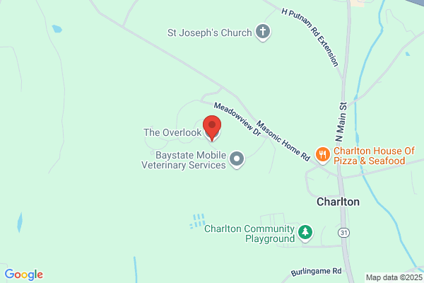 Overlook Services Inc