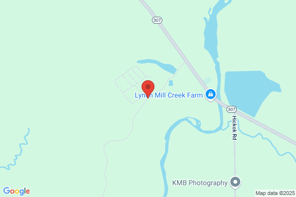 Buccaneer Campsites