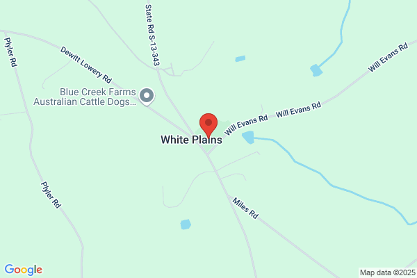 White Plains Baptist Church