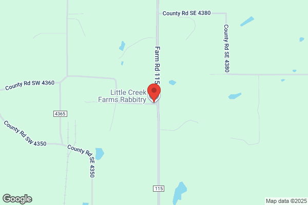 Little Bunny Farms