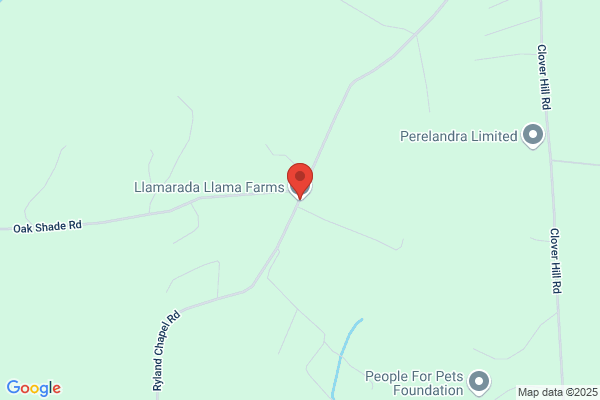Llamarada Llama Farms