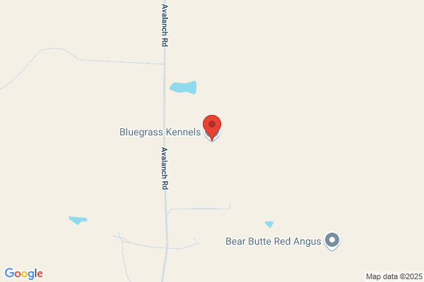 Bluegrass Kennels