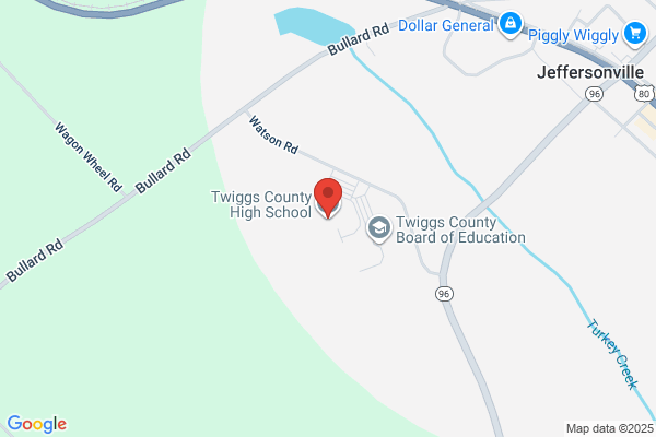 Schools, Twiggs County High School