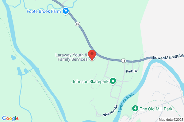 Laraway Mountain Insurance