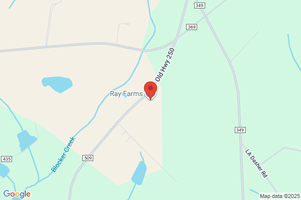 Ray Farms Incorporated