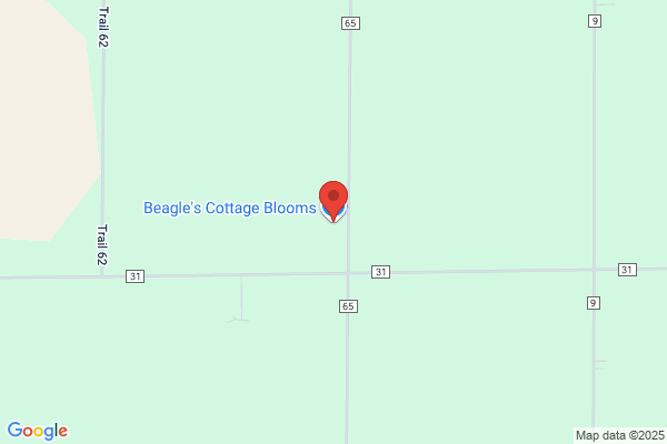 Beagle's Blooming Business