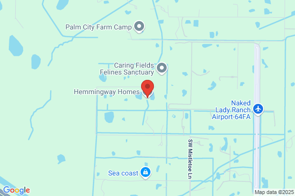 Hemmingway Homes Inc