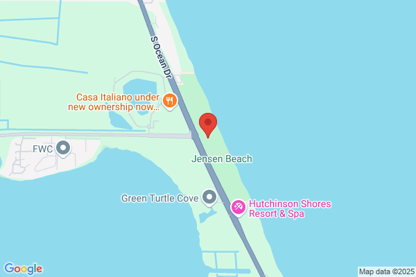 Sea Turtles Cafe