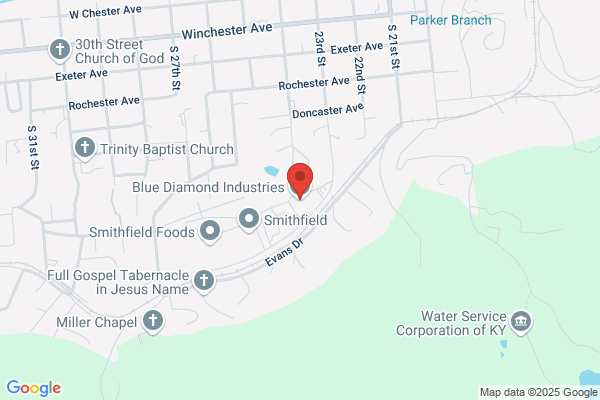 Blue Diamond Plumbing and Electric