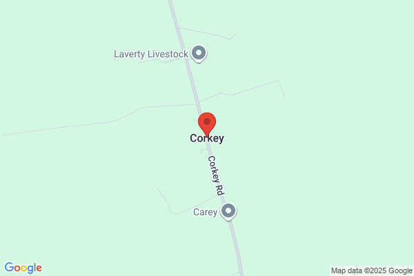 CorKaya