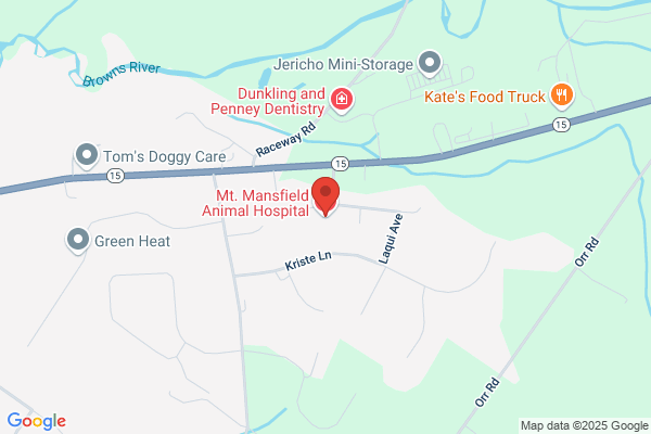 Mt. Mansfield Animal Hospital