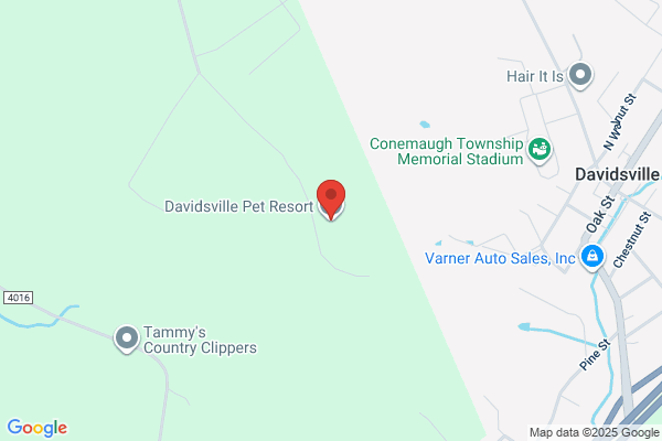 Davidsville Pet Resort