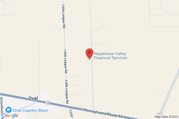 Nippenose Valley Financial Services