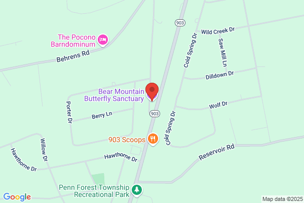 Bear Mountain Butterfly Sanctuary