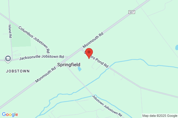 Springfield Township Emergency Medical Services Inc