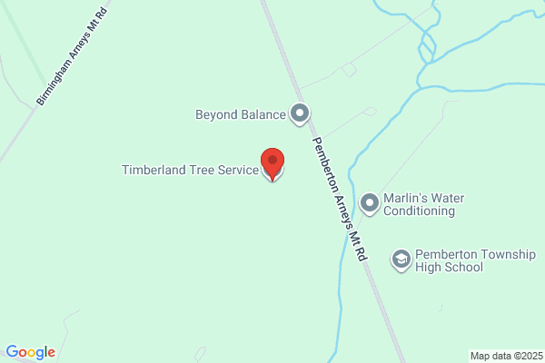 Timberland Tree service