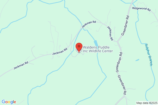 Walden's Puddle Wildlife Rehabilitation Center
