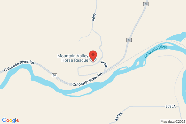 Mountain States Horse Rescue
