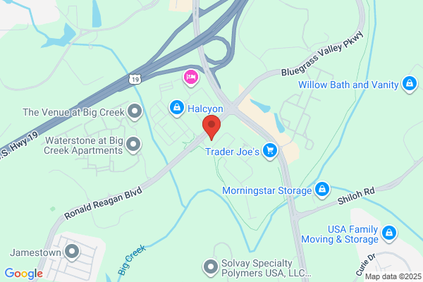 Dogtopia of Alpharetta at Halcyon