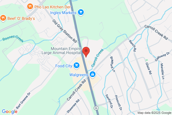 Boones Creek Dentistry