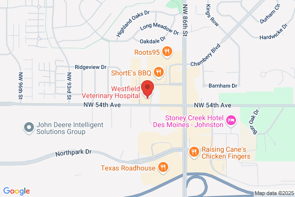 Westfield Veterinary Hospital