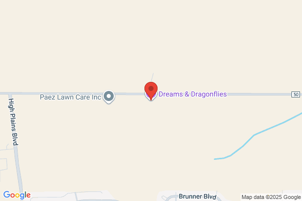 Dreams & Dragonflies LLC