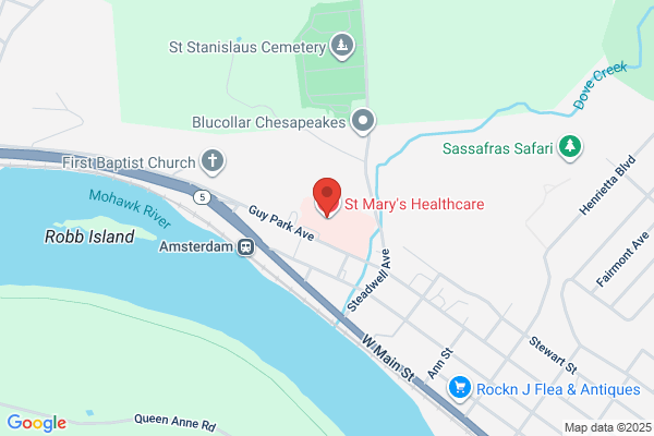 St Mary's Hospital At Amsterdam, Hospital Care Services, Alcoholism Services