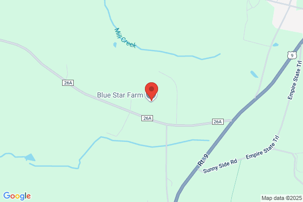 Blue Star Inc