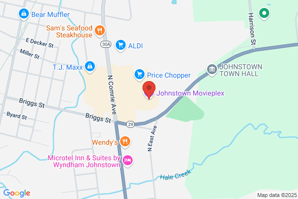 Johnstown Movie Plex Inc