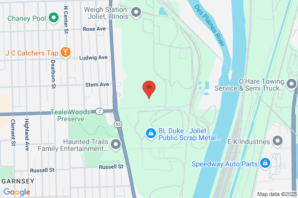 Petric Auto Service Inc