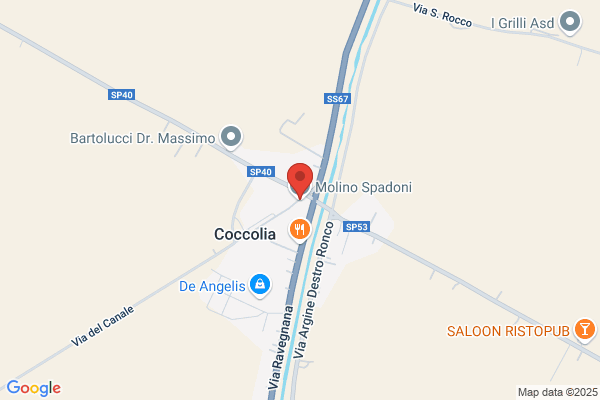 Spadoni Alex J MD Sc