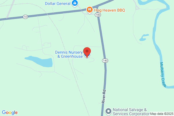 Dennis Nursery & Greenhouse Inc