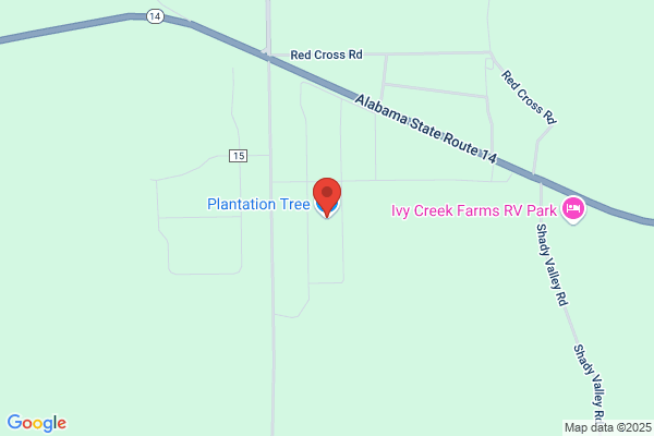 Plantation Tree Company